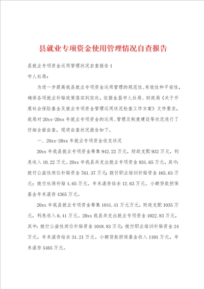 县就业专项资金使用管理情况自查报告