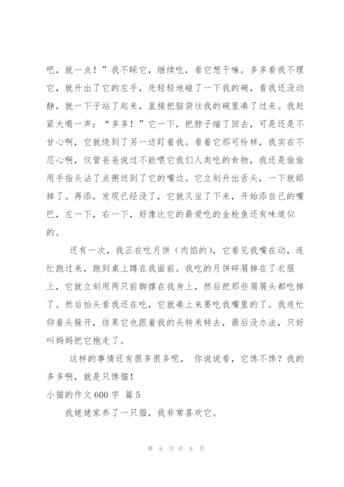 小猫的作文600字五篇.docx