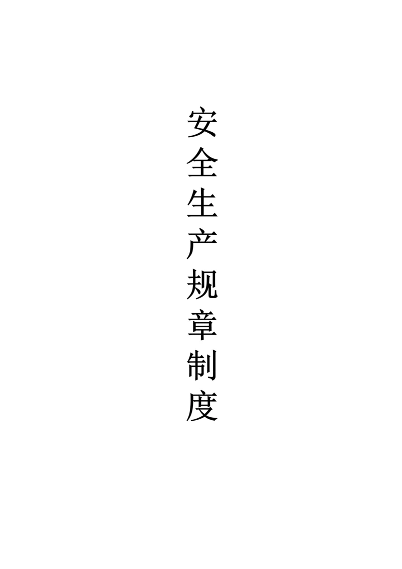 安全生产规章制度和操作规程.docx