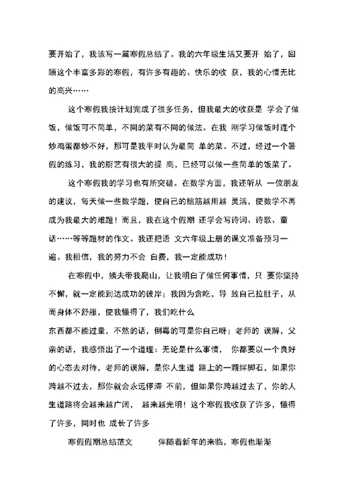寒假假期总结