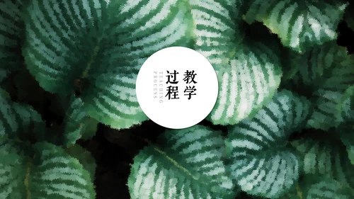 清新绿色教师说课通用PPT模板