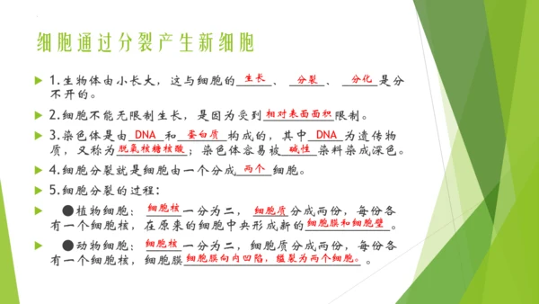 人教版生物七年级上册期中复习课件(共19张PPT)