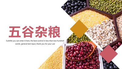 五谷杂粮土特产农产品生态食品PPT模板