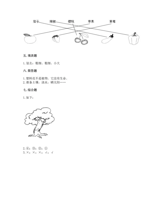 教科版科学一年级上册第一单元《植物》测试卷及完整答案【有一套】.docx