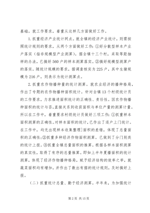 乡镇统计工作总结模板4篇.docx