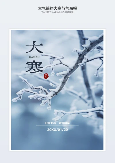 大气简约大寒节气海报