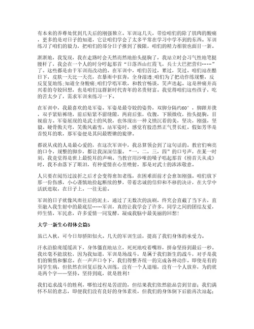 大学一新生心得体会篇