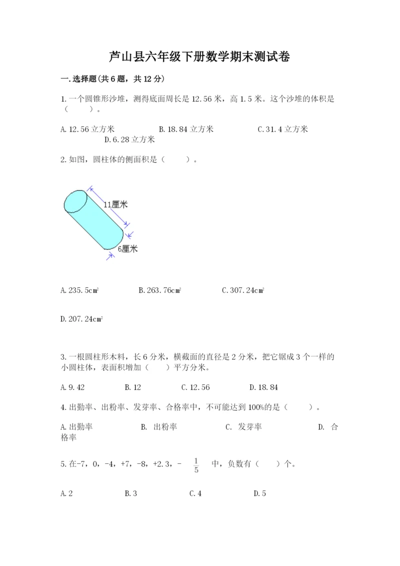 芦山县六年级下册数学期末测试卷带答案.docx