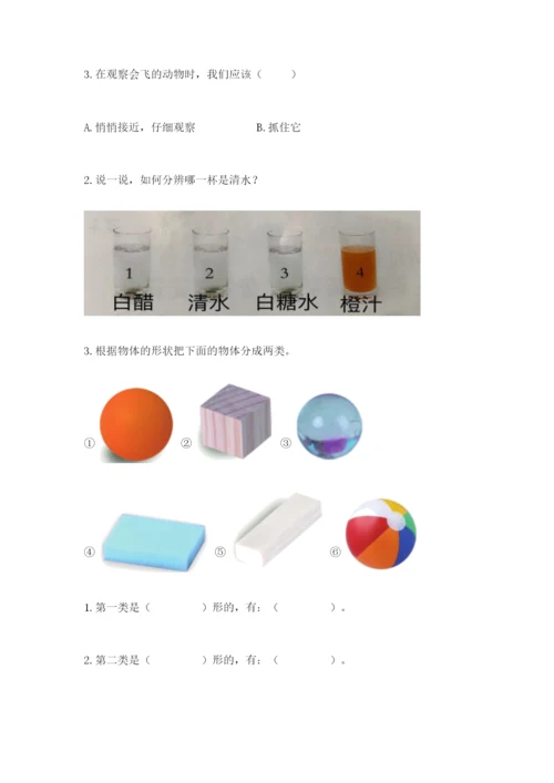 教科版一年级下册科学期末测试卷附答案（巩固）.docx