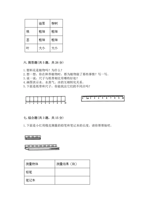 教科版小学一年级上册科学期末测试卷完美版.docx