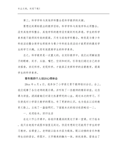 2024年青年教师个人培训心得体会范文10篇合辑.docx