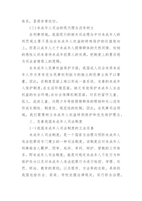 未成年人司法的构建与实践论文.docx