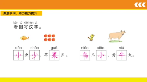 7 大小多少  课件