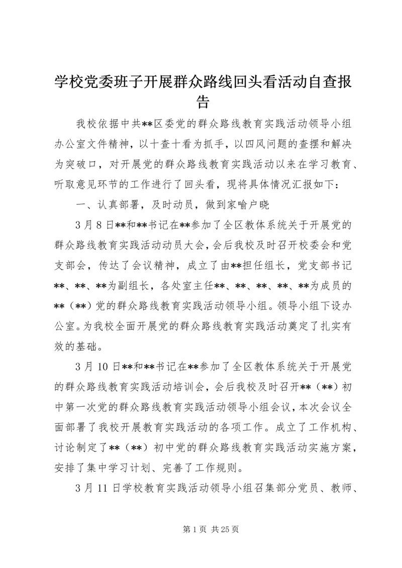 学校党委班子开展群众路线回头看活动自查报告.docx