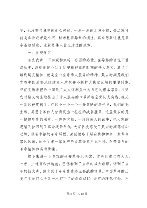 学习延安精神心得体会五篇.docx