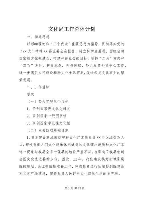 文化局工作总体计划.docx