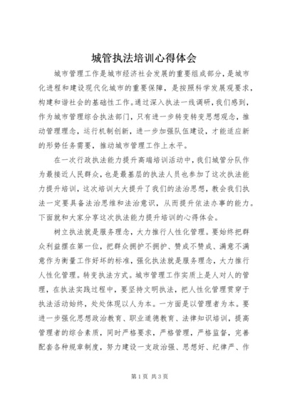 城管执法培训心得体会.docx