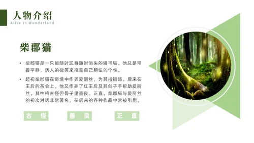 绿色实拍名著阅读分享会爱丽丝梦游仙境PPT读书分享