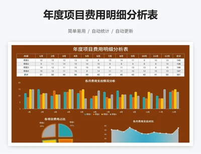 年度项目费用明细分析表