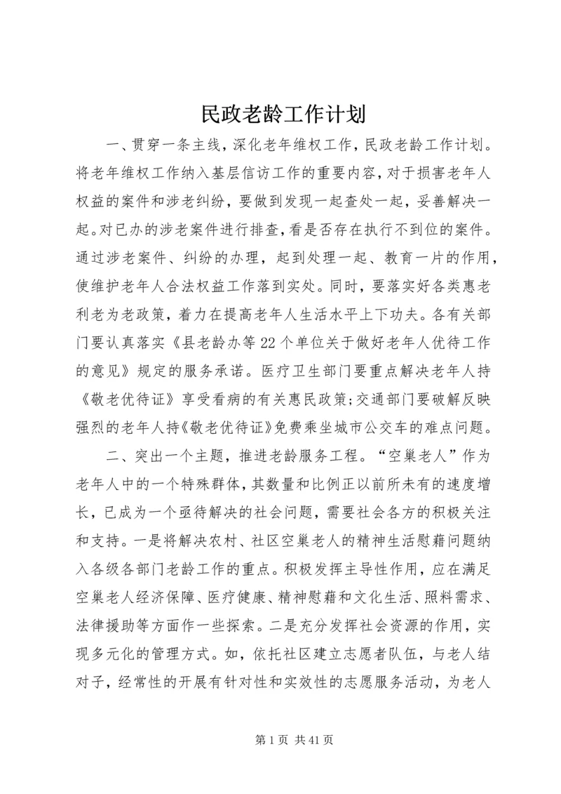 民政老龄工作计划.docx