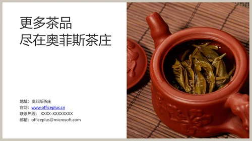 白色春茶产品介绍宣传手册