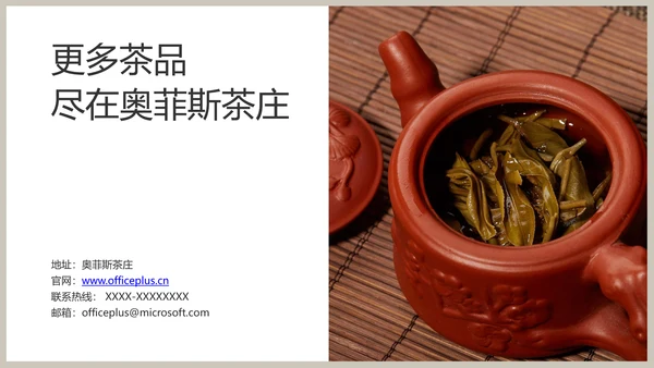 白色春茶产品介绍宣传手册