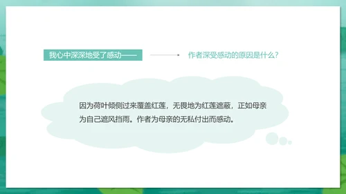 冰心《荷叶母亲》中学语文PPT课件