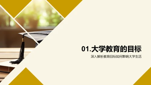 深度解析大学教育