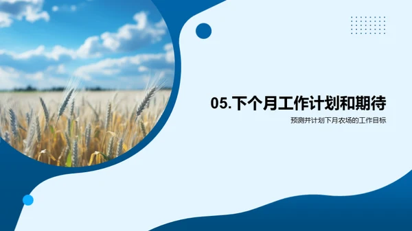 农业效益分析及展望