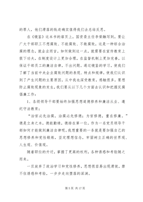 镜鉴学习心得体会2_1.docx