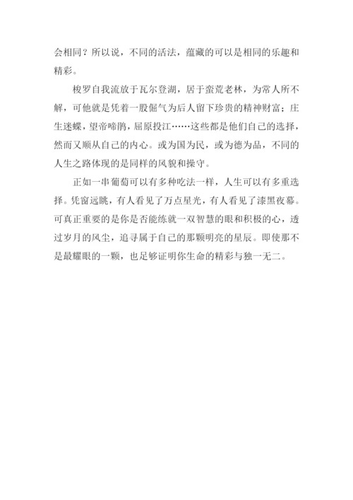 不同的活法-同样的乐趣作文.docx