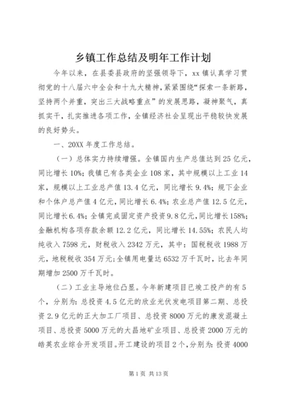 乡镇工作总结及明年工作计划.docx