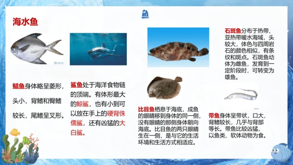 人教版生物七年级上册2.2.2《脊椎动物》课件(共22张PPT)+视频素材