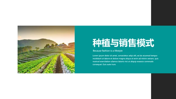 绿色农产品瓜果蔬菜农业主题通用PPT模板