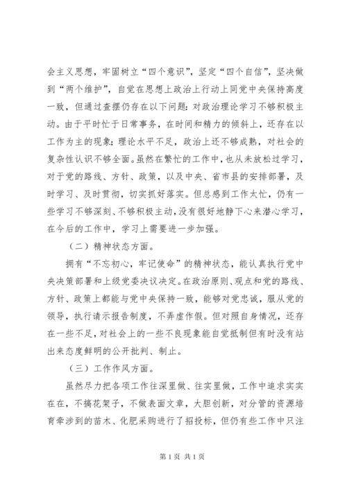 民主生活会个人发言提纲（含上一年度民主生活会问题整改情况）.docx