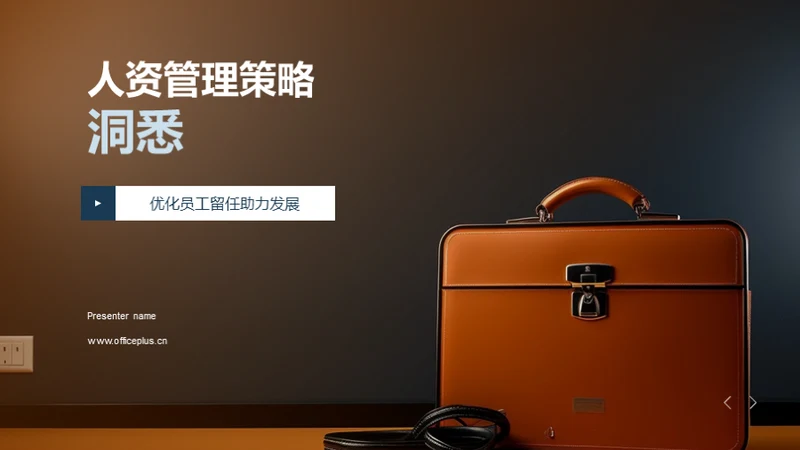 人资管理策略洞悉