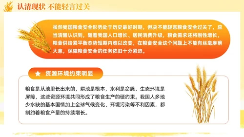 大学生形势与政策保障粮食安全的中国策ppt课件党建