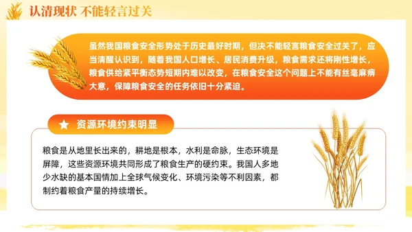 大学生形势与政策保障粮食安全的中国策ppt课件党建