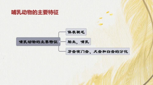 人教版 初中生物七年级上册2.2.2脊椎动物（鸟和哺乳动物）课件(共24张PPT)+ 视频素材
