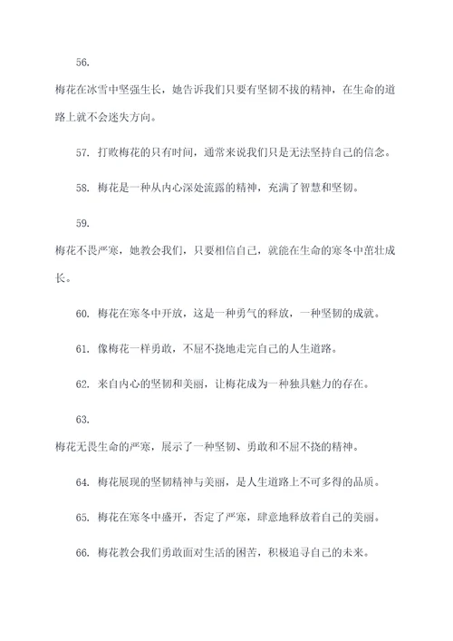 关于梅花的励志标语