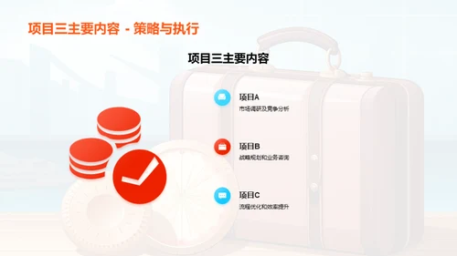 项目管理与优化策略