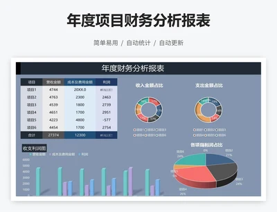 年度项目财务分析报表