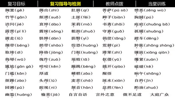 七年级下册语文复习专题二：字词梳理 课件（含截屏）