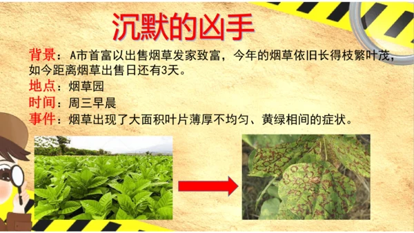 人教版生物八年级上册5.5《病毒》（课件）(共30张PPT)+视频素材