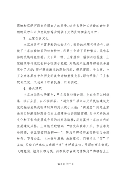 发展民族文化旅游调查研究报告.docx