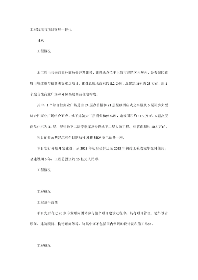 工程监理与项目管理一体化案例.docx