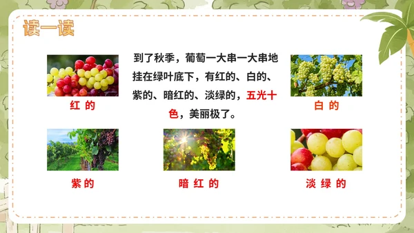 部编版语文二年级上册第十一课《葡萄沟》课件
