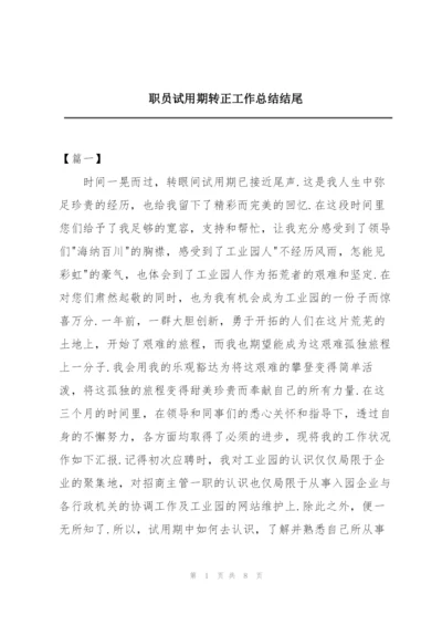 职员试用期转正工作总结结尾.docx