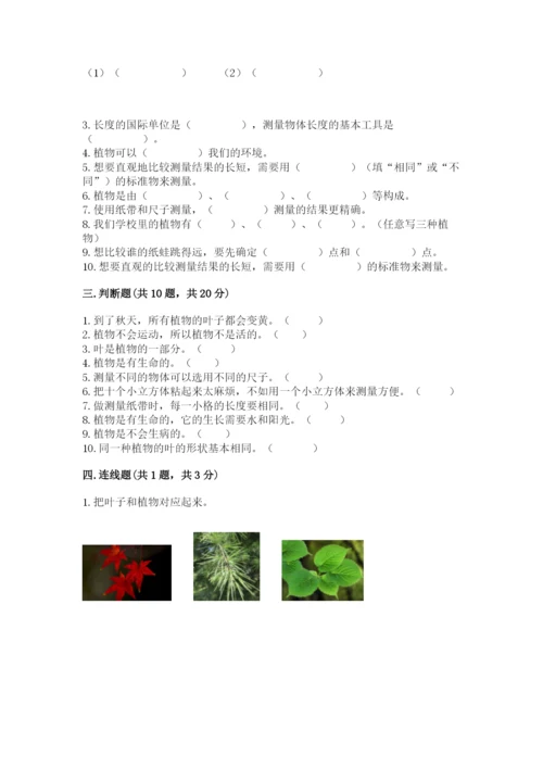 教科版一年级上册科学期末测试卷（b卷）.docx