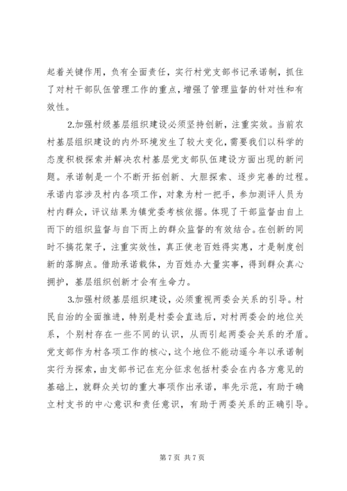 对行政村党支部书记“实事承诺制”的实践与思考 (5).docx